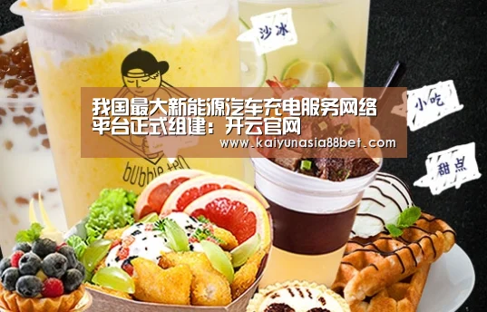 我国最大新能源汽车充电服务网络平台正式组建:开云官网(图2) 开云官网